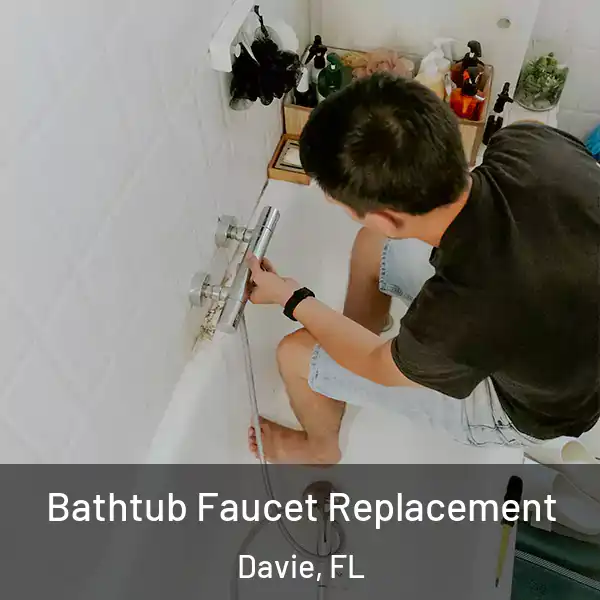  Bathtub Faucet Replacement Davie, FL