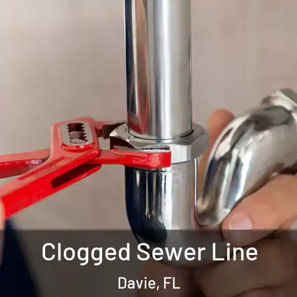  Clogged Sewer Line Davie, FL