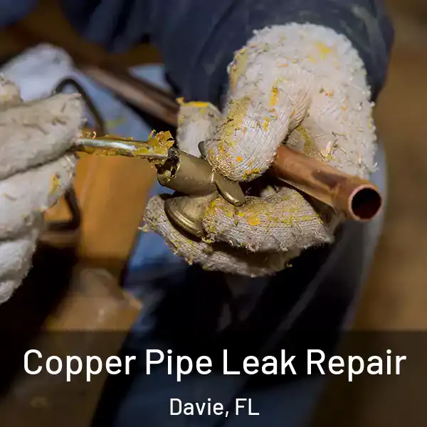  Copper Pipe Leak Repair Davie, FL