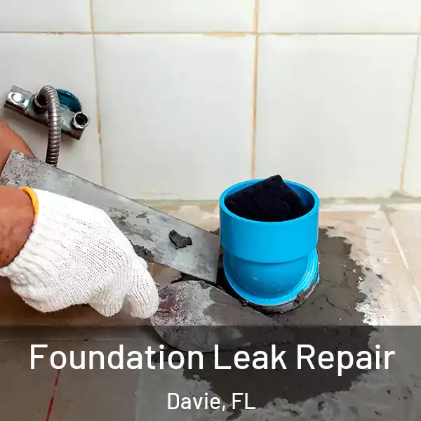  Foundation Leak Repair Davie, FL