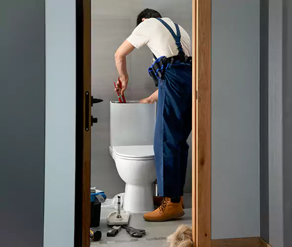 Professional Plumbers for Toilet Bowl Replacement in Davie, FL: Schedule Affordable Toilet Replacement Services With Us