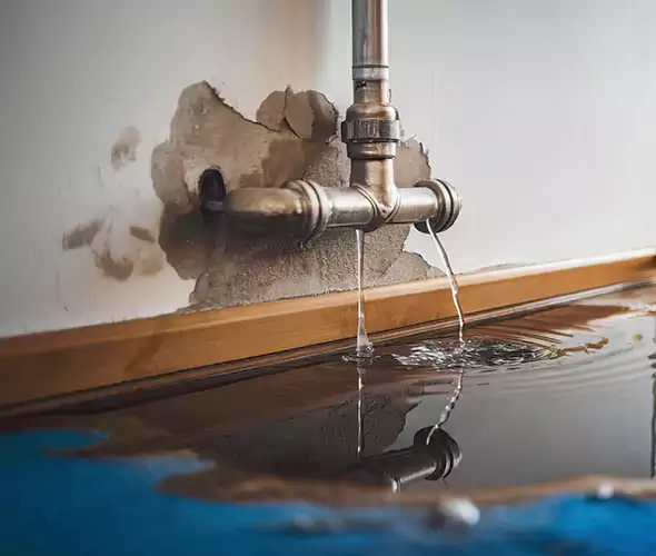 Professional Water Damage Restoration Experts in Davie, FL — Fast, Reliable & Certified