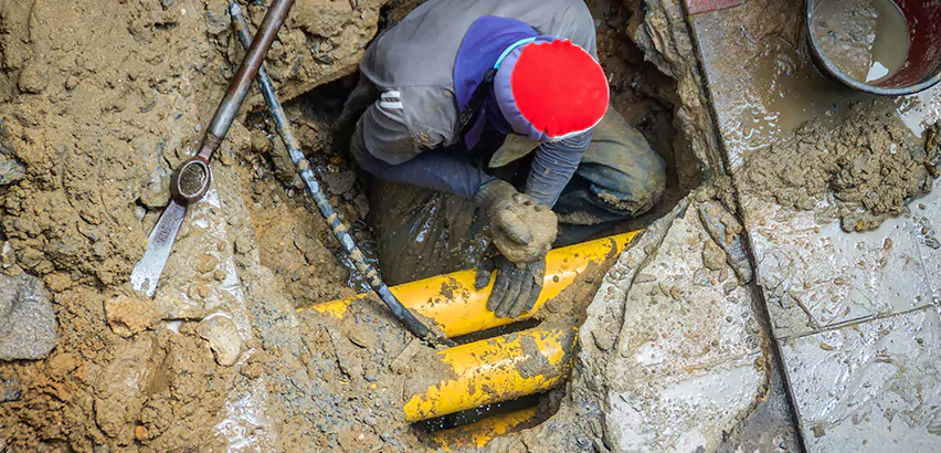 Main Line Rooter in Davie