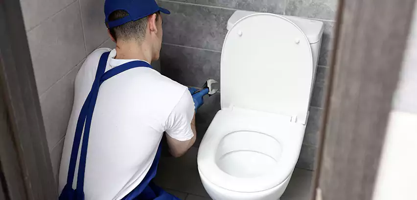 Toilet Lid Replacement in Davie