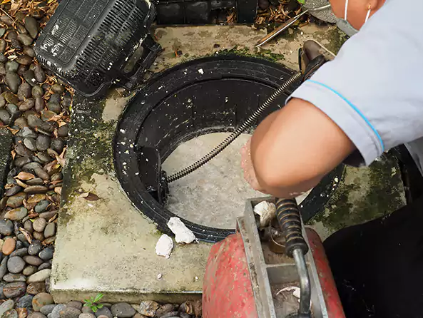 Why Choose Davie Plumbing Pro for Clogged Drain Repair in Davie, FL?