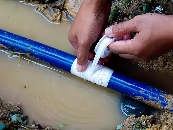  Why Choose Davie Plumbing Pro for Leak Detection in Davie, FL?]