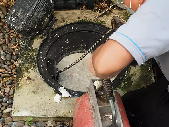 Why Choose Davie Plumbing Pro for Sewer Line Cleaning in Davie, FL?