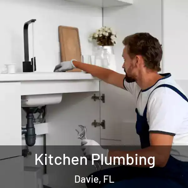  Kitchen Plumbing Davie, FL