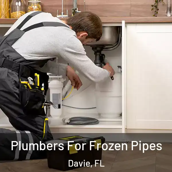  Plumbers For Frozen Pipes Davie, FL