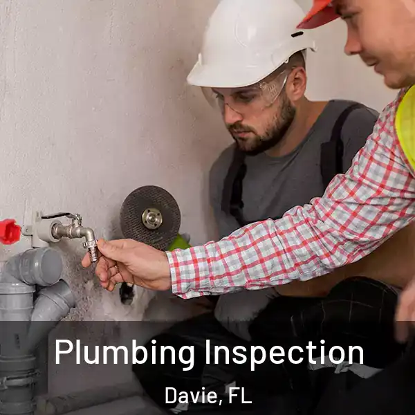  Plumbing Inspection Davie, FL