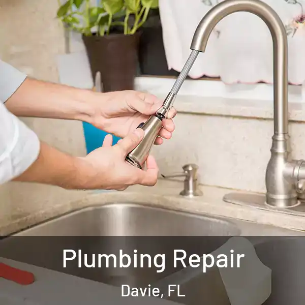  Plumbing Repair Davie, FL