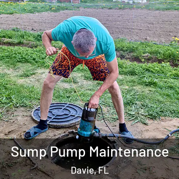  Sump Pump Maintenance Davie, FL