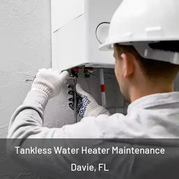  Tankless Water Heater Maintenance Davie, FL