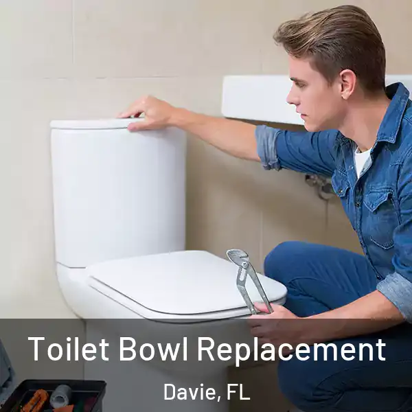  Toilet Bowl Replacement Davie, FL
