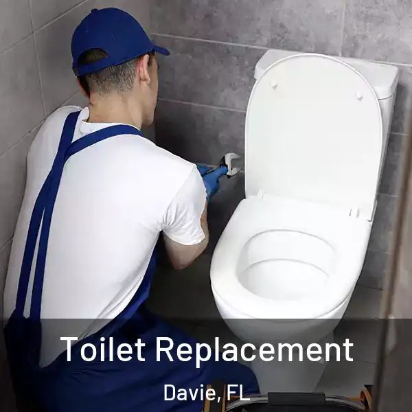  Toilet Replacement Davie, FL