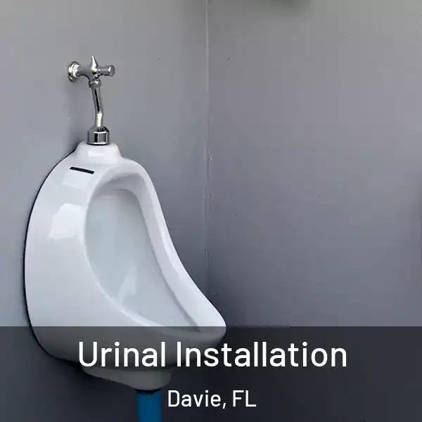  Urinal Installation Davie, FL