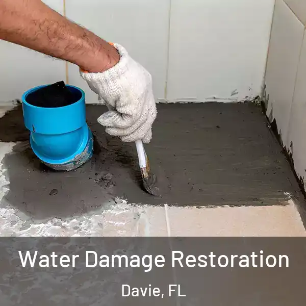  Water Damage Restoration Davie, FL