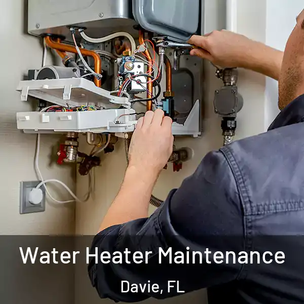  Water Heater Maintenance Davie, FL