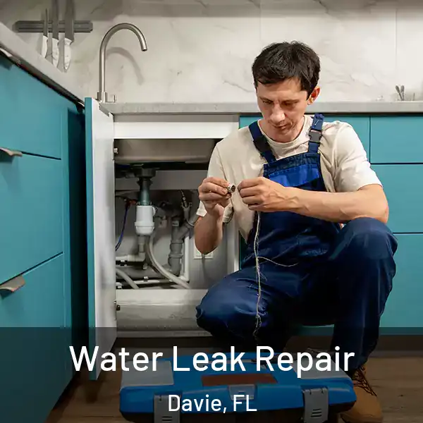  Water Leak Repair Davie, FL